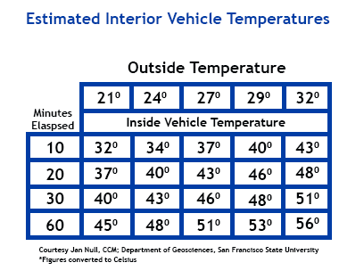 Temperature In Car For Dogs Chart