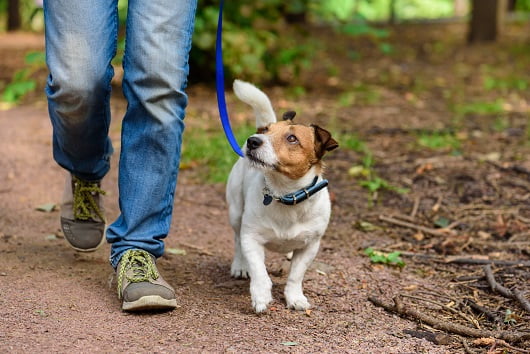 iStock 1143749718 resized