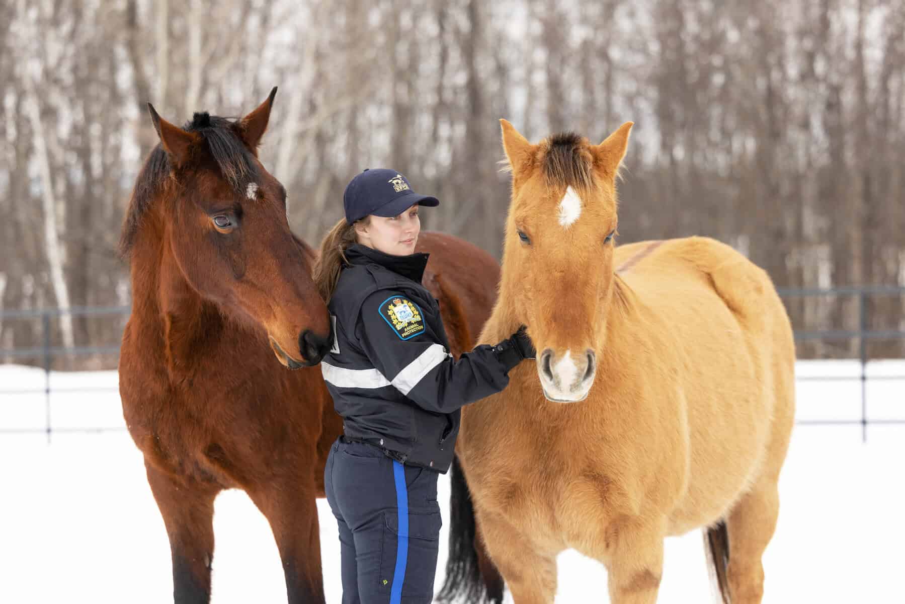 Donate Today | Alberta SPCA